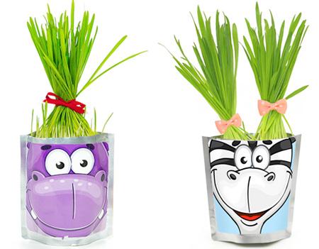 Выращивание растений и правильный уход за ними