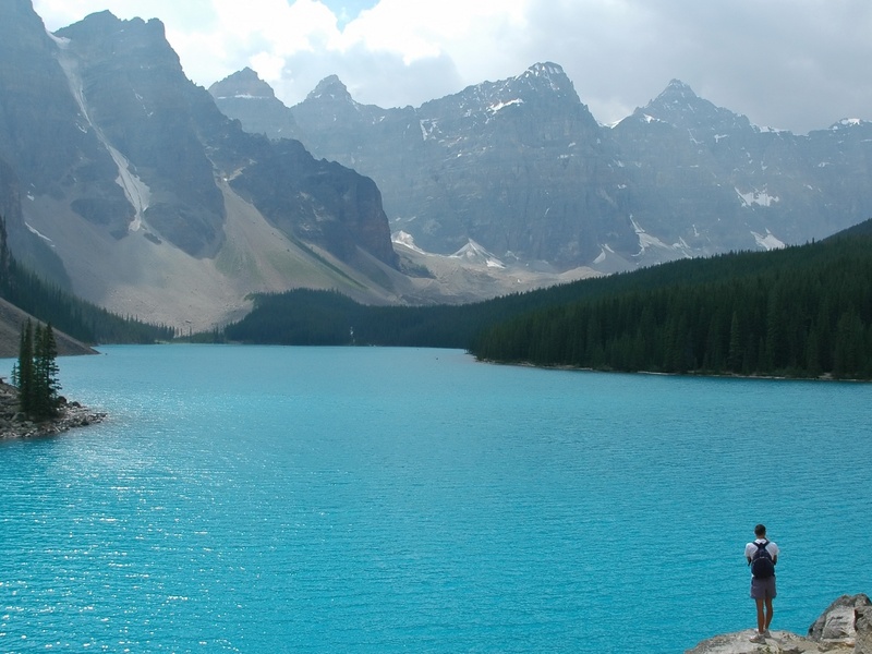 Одиночество в лесу